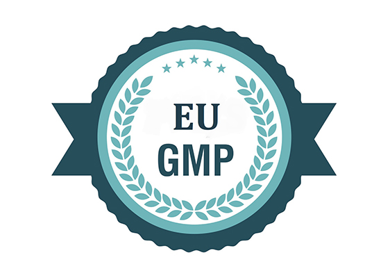 Logo-GMP