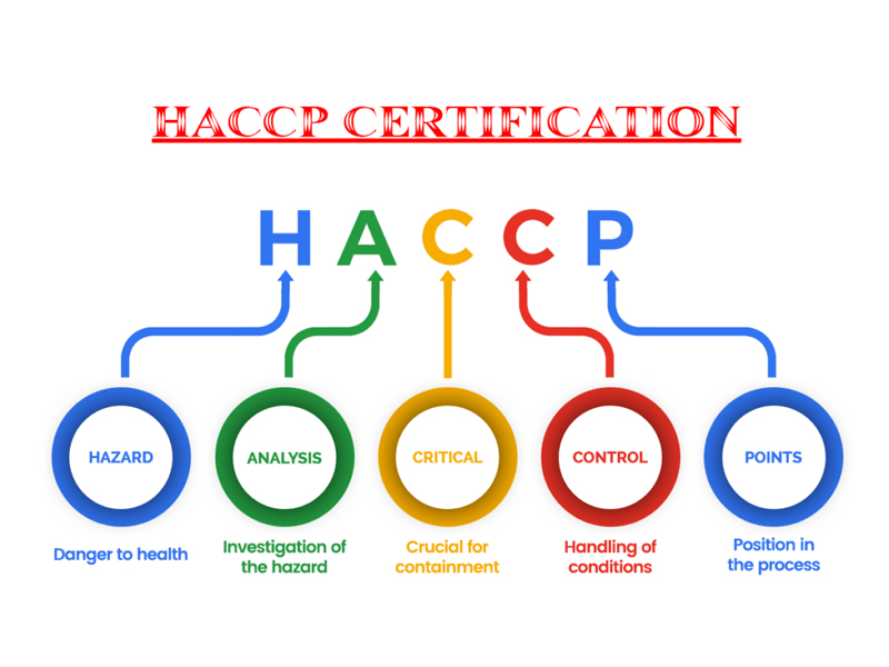 HACCP là cụm từ viết tắt của Hazard Analysis and Critical Control Point