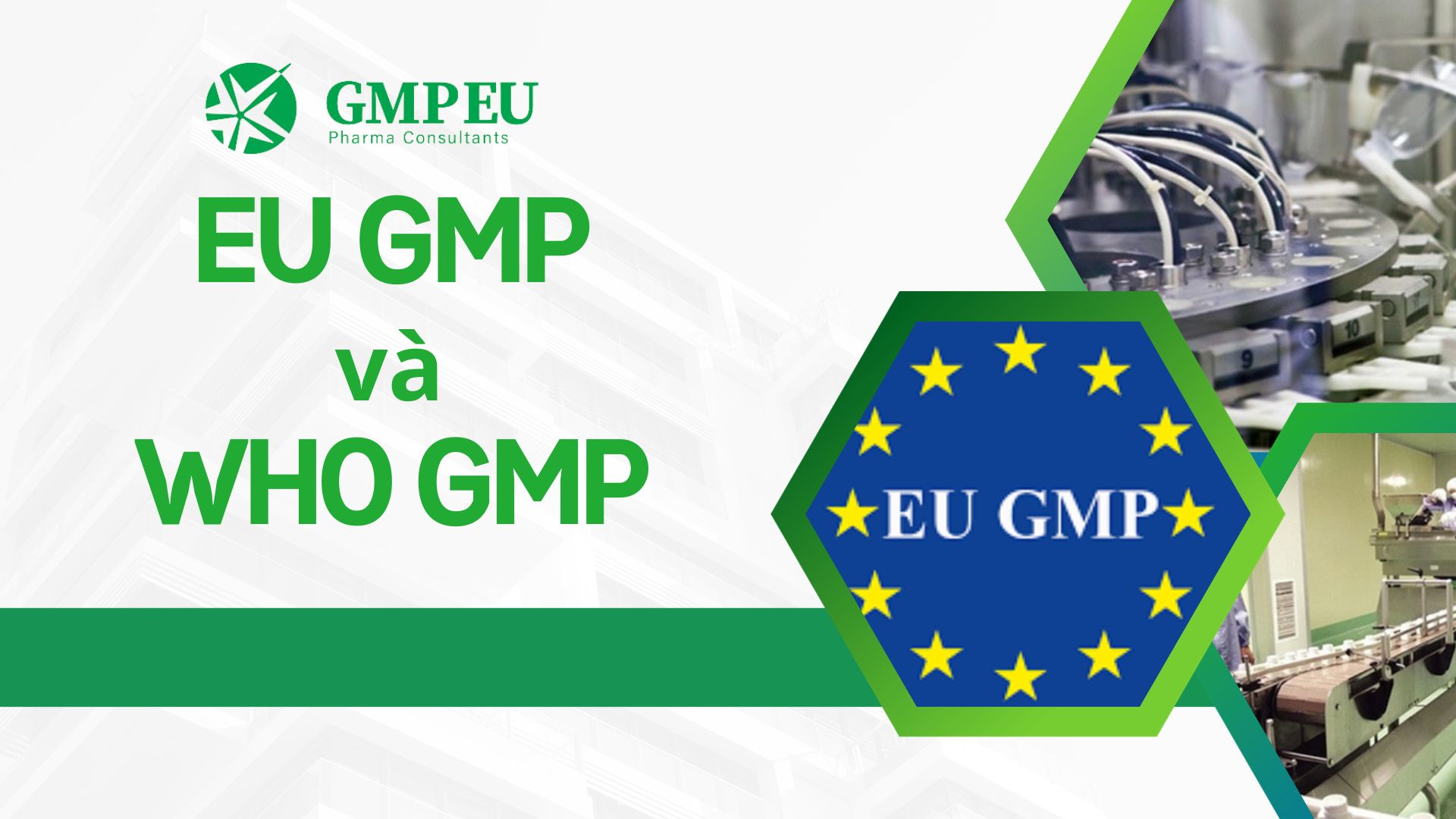 EU-GMP-VS-WHO-GMP